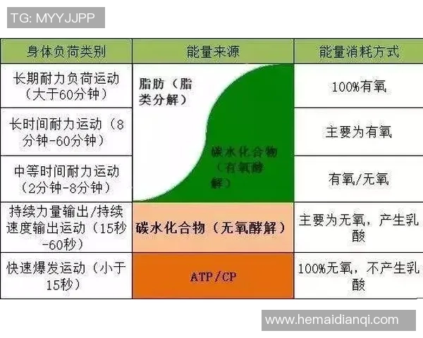 广州足球队耐力分析与提升策略探讨之路