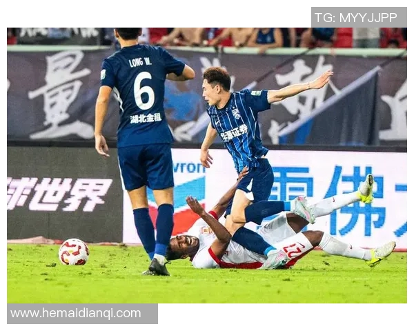 武汉足球队的节奏起伏分析与未来发展展望